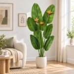 Plants